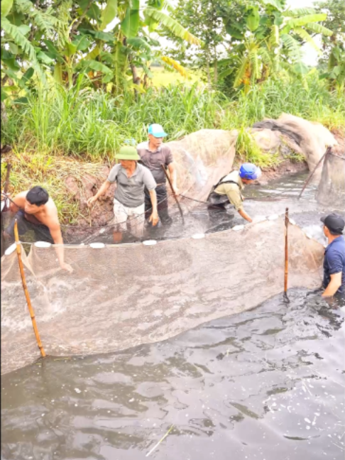 @Trại Cá Giống Quang Lâm