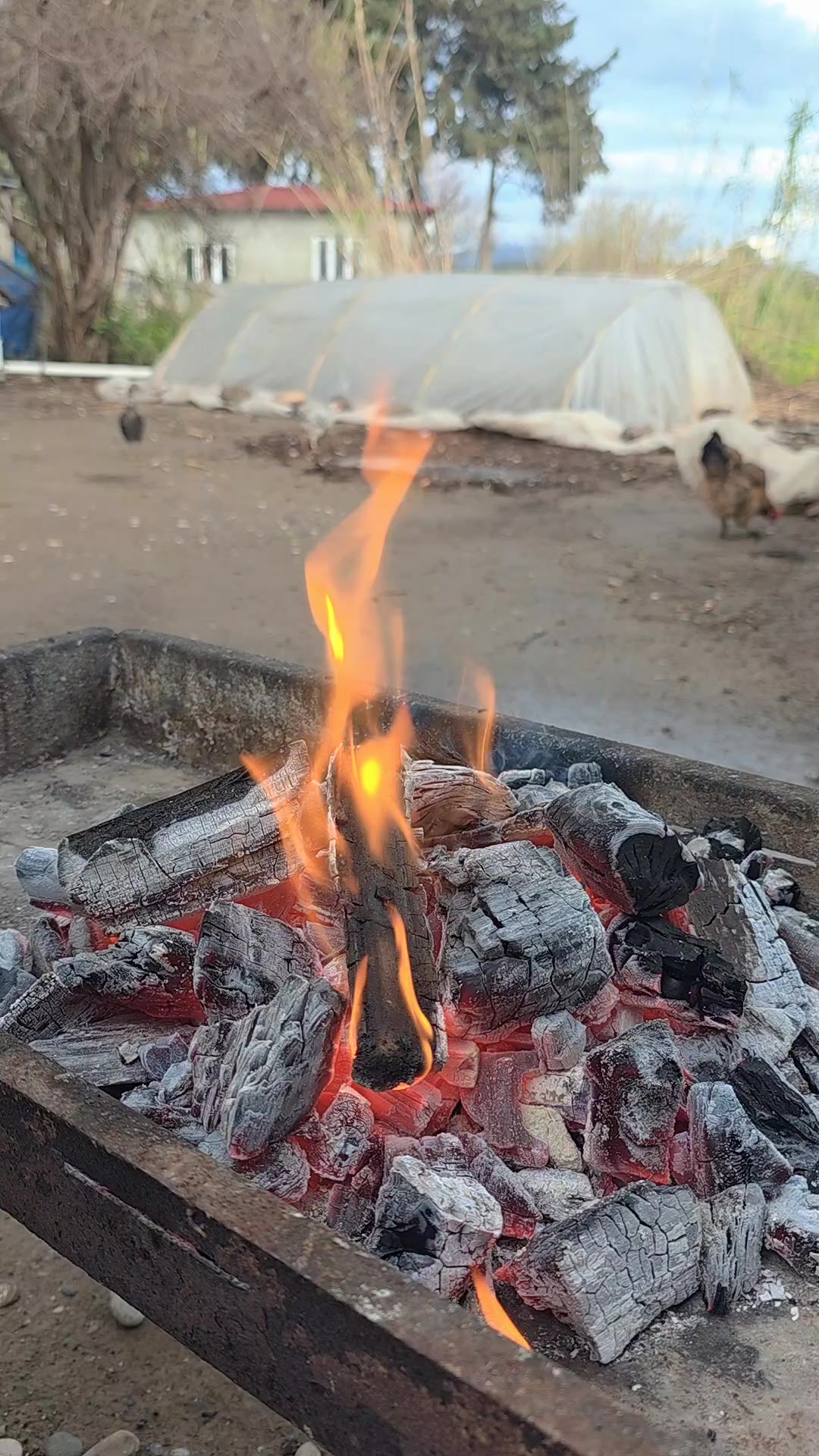 @🔥Köylü Kızı🔥