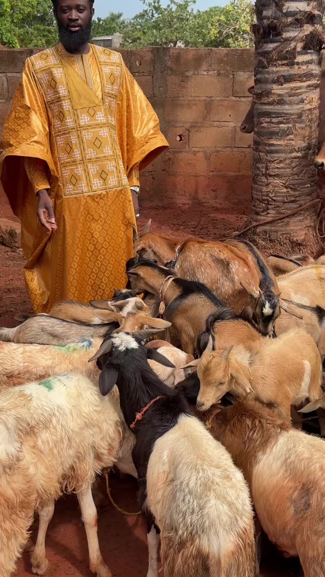 @ismaelouedraogo222