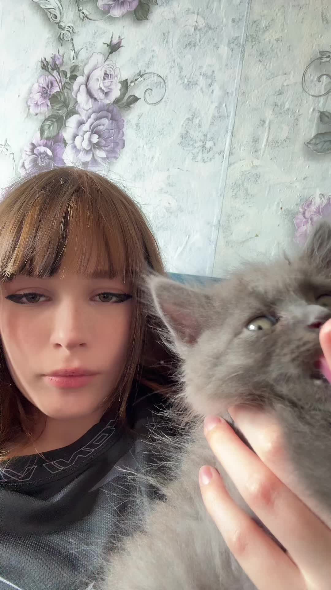 @агра киид