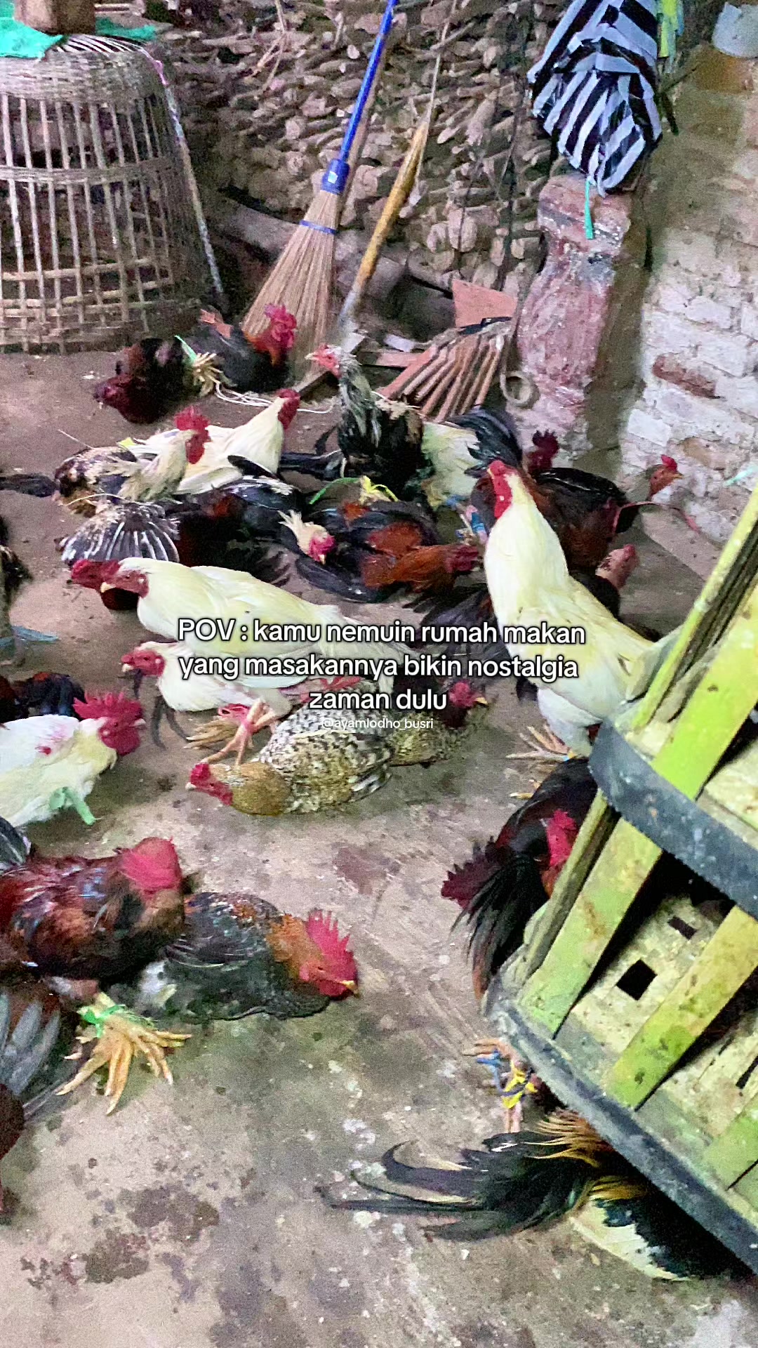 @Ayam Lodho Bu Sri