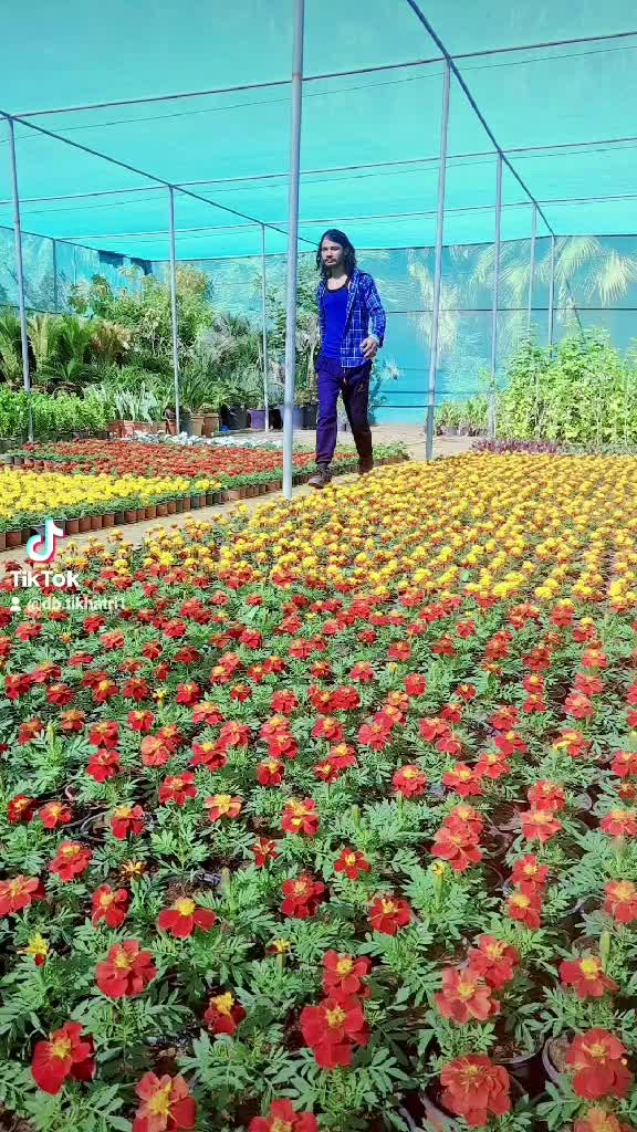 @Agani Jwalamukhi