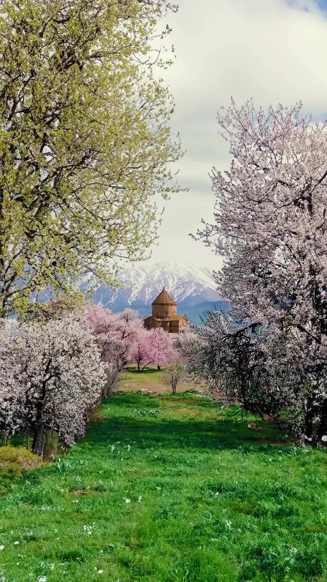 @Yusuf Emin Miroğlu