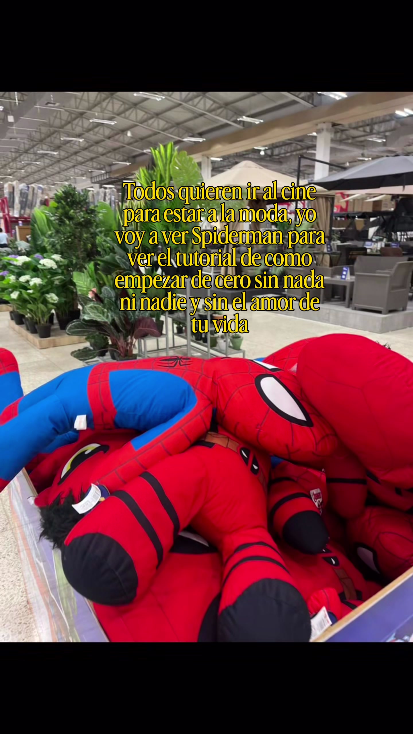 @🧸