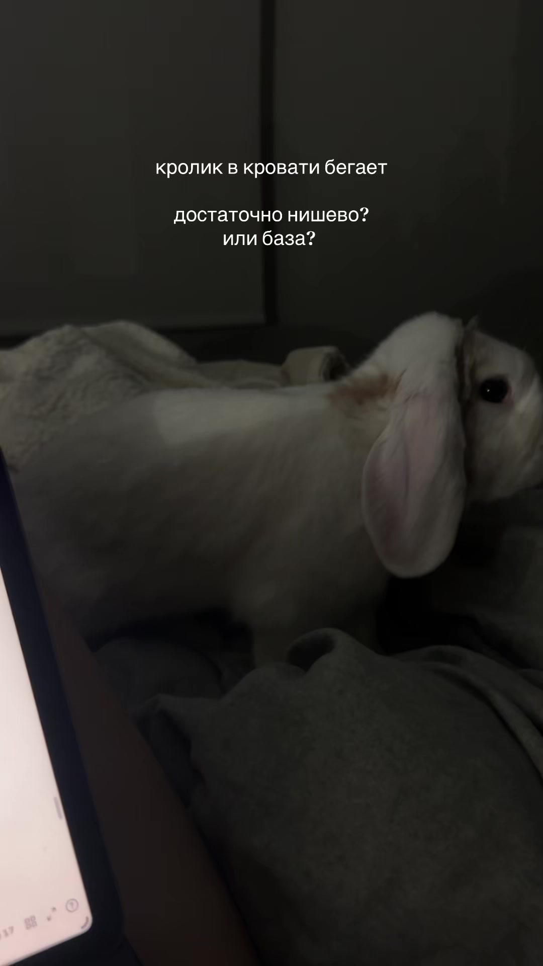 @wyrtww