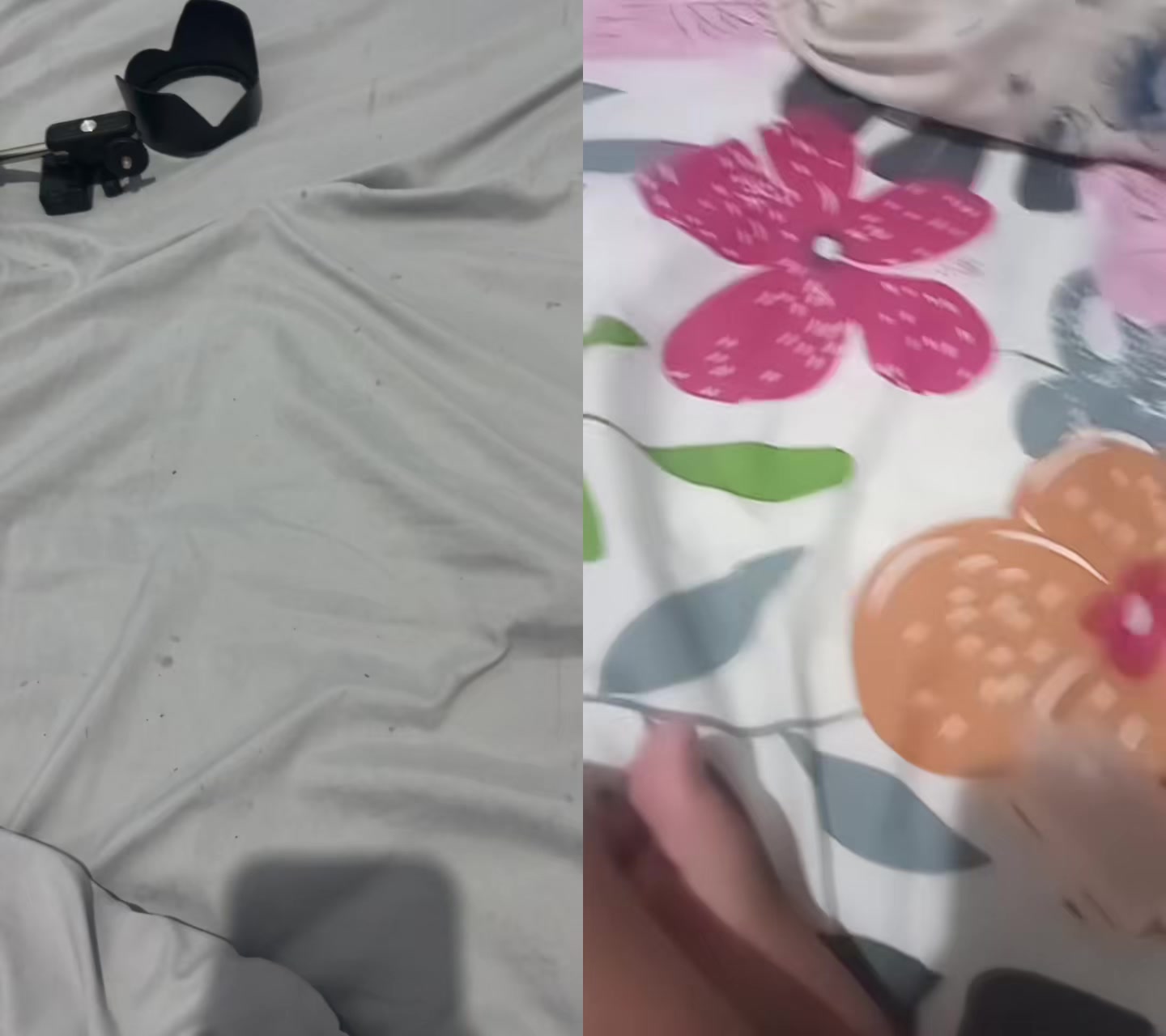 @catliya v2