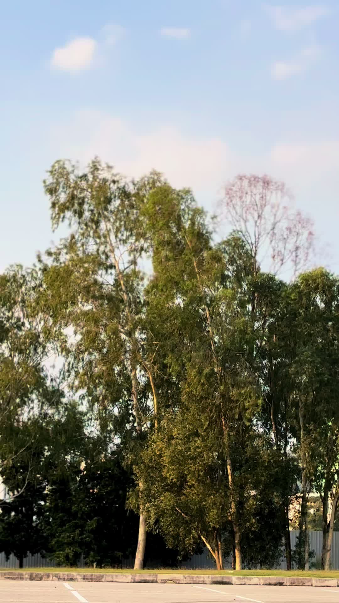 @Tanesan Kannan