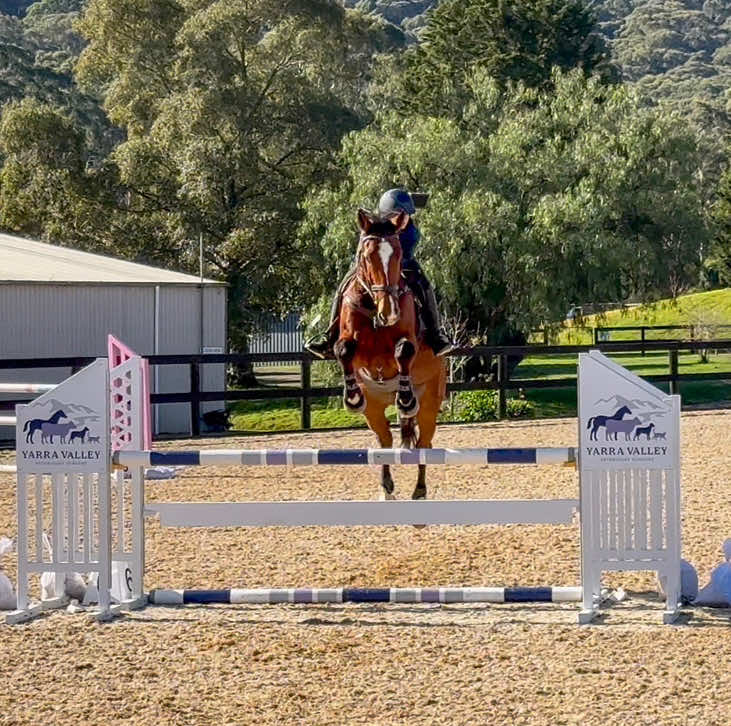 @Imi_.equestrian