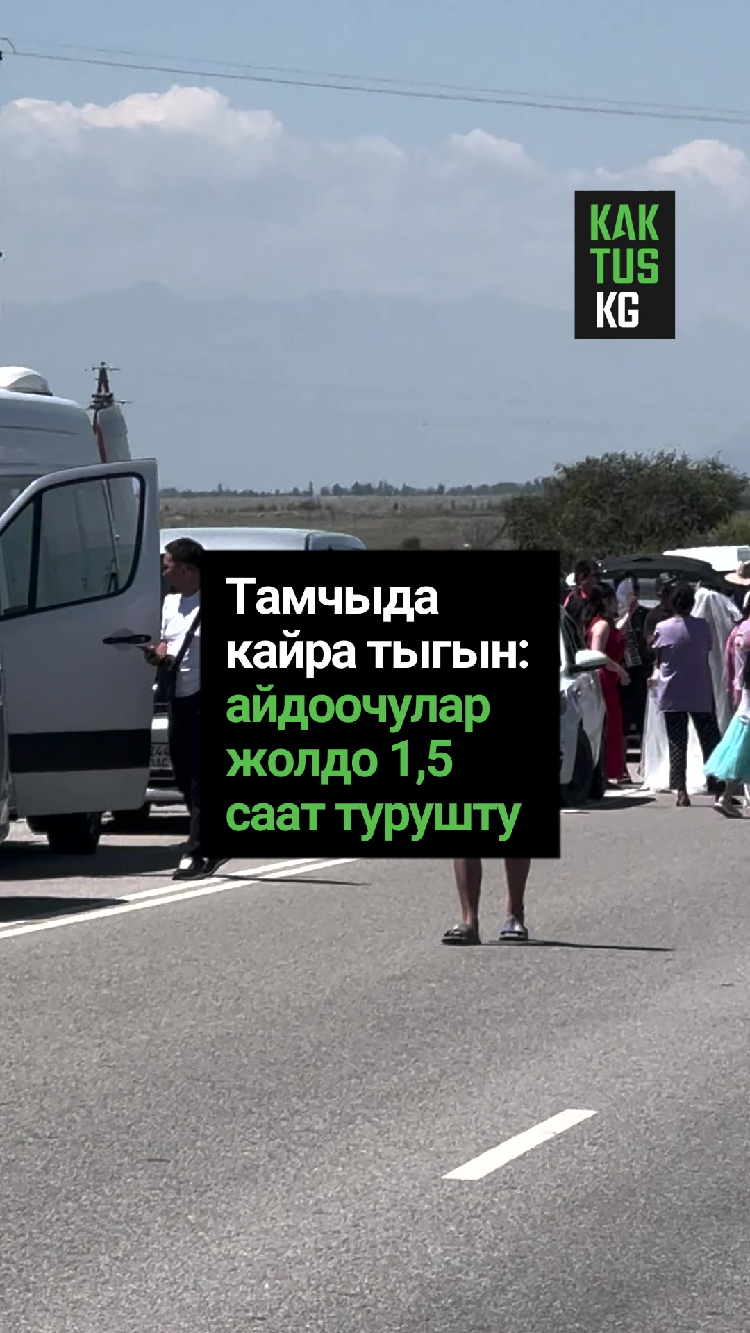 @Kaktus KG