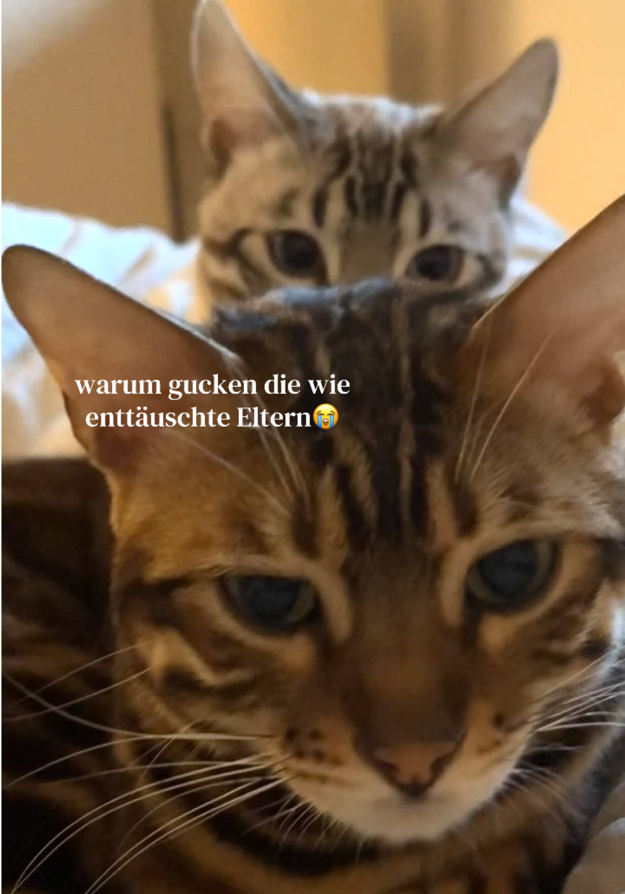 @ALINA 🐆🤎
