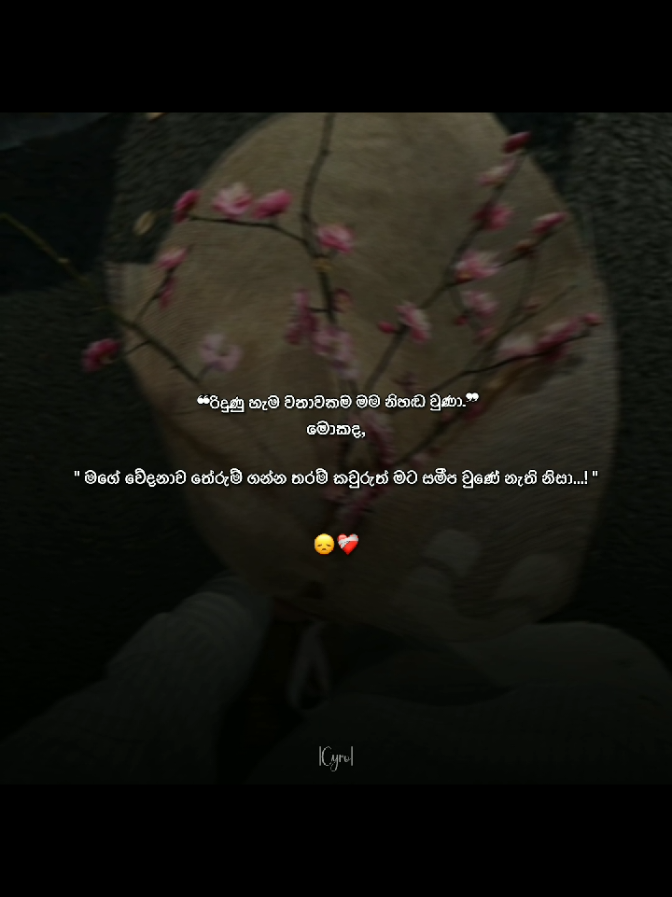 @𝗖𝚈𝚁𝙾 𝚀𝚄𝙾𝚃𝙴𝚂 🫀🧧