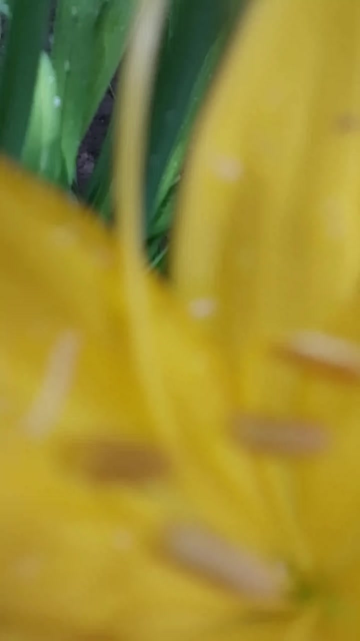 @одна такая