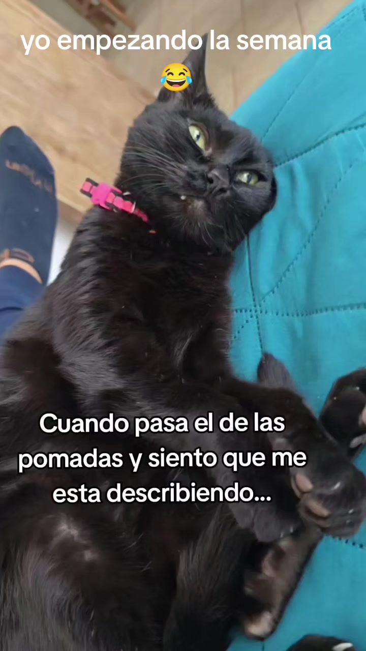 @luisfernandohcari
