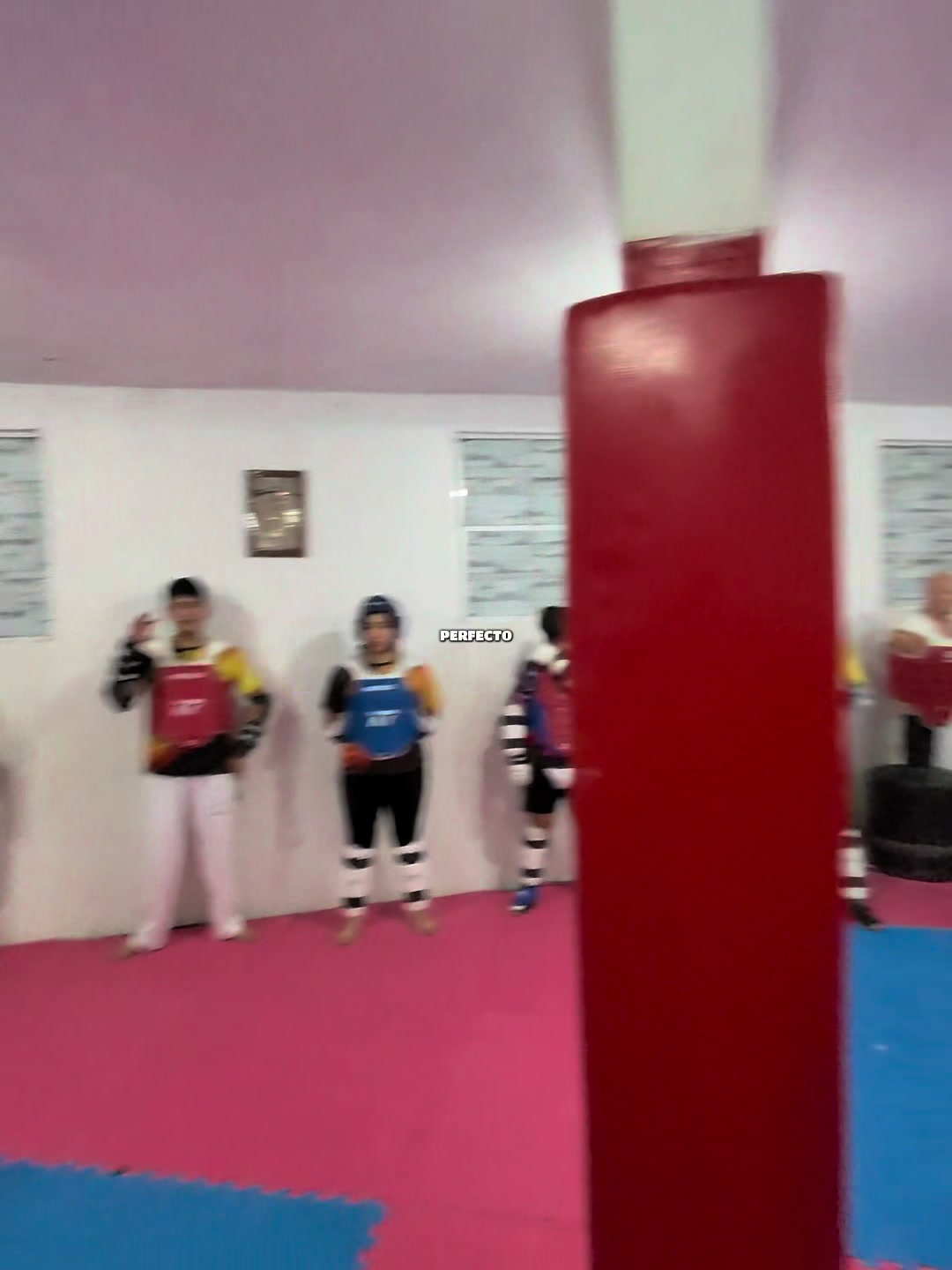 @taekwondolionsteam