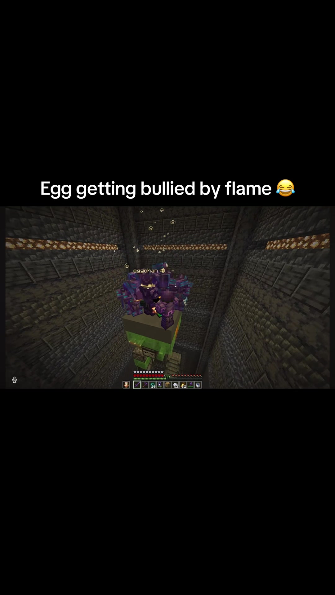 @woolfy