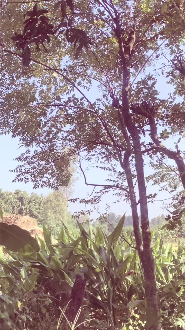 @Nirmala dhakal