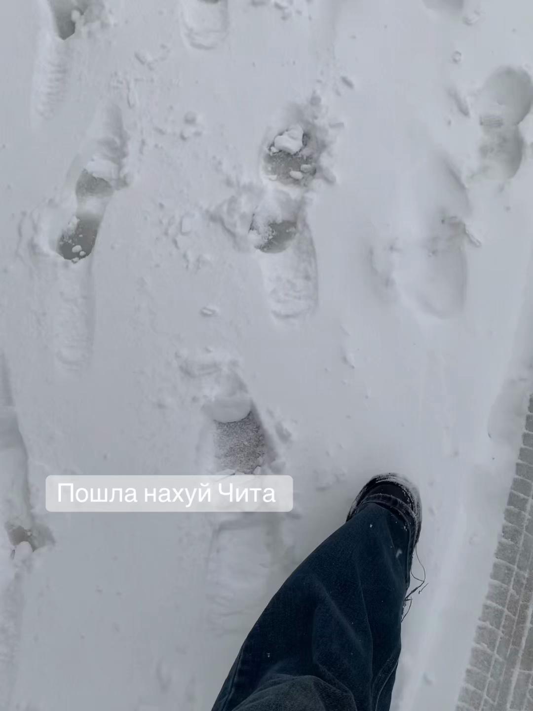 @vladessa👽