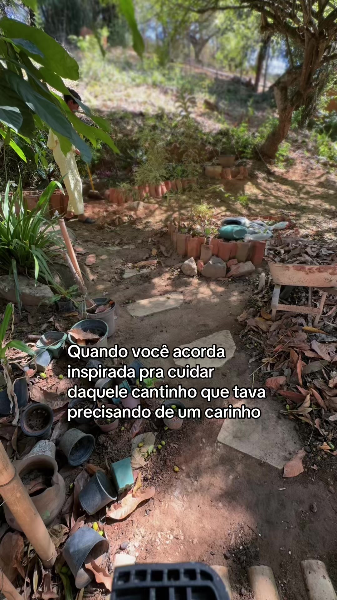 @Mírian Rocha