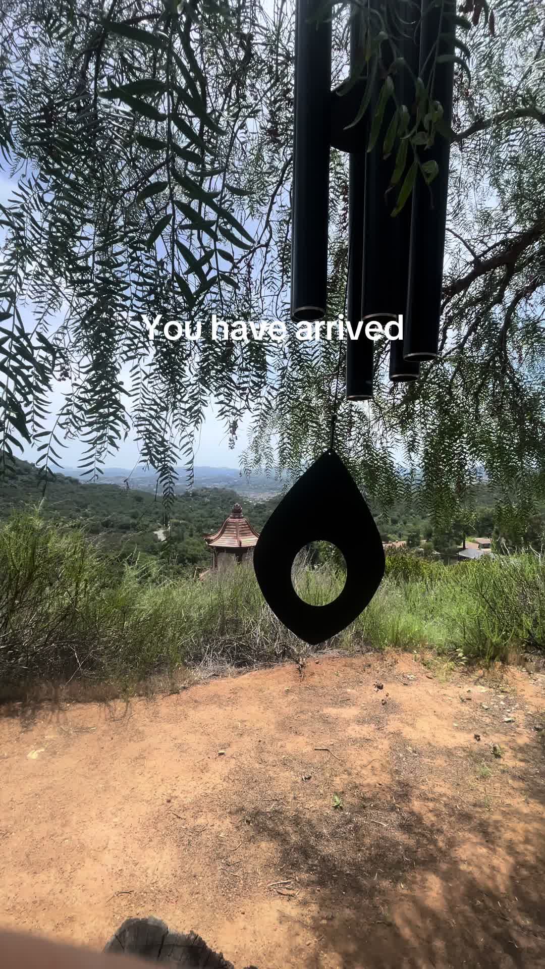 @kayo 🔻