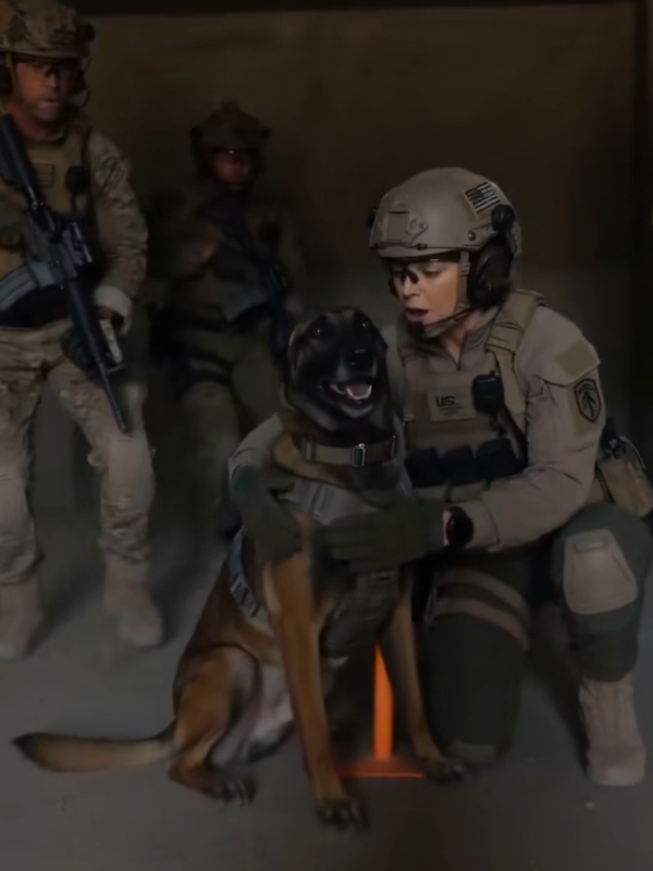 @K9 Warrior