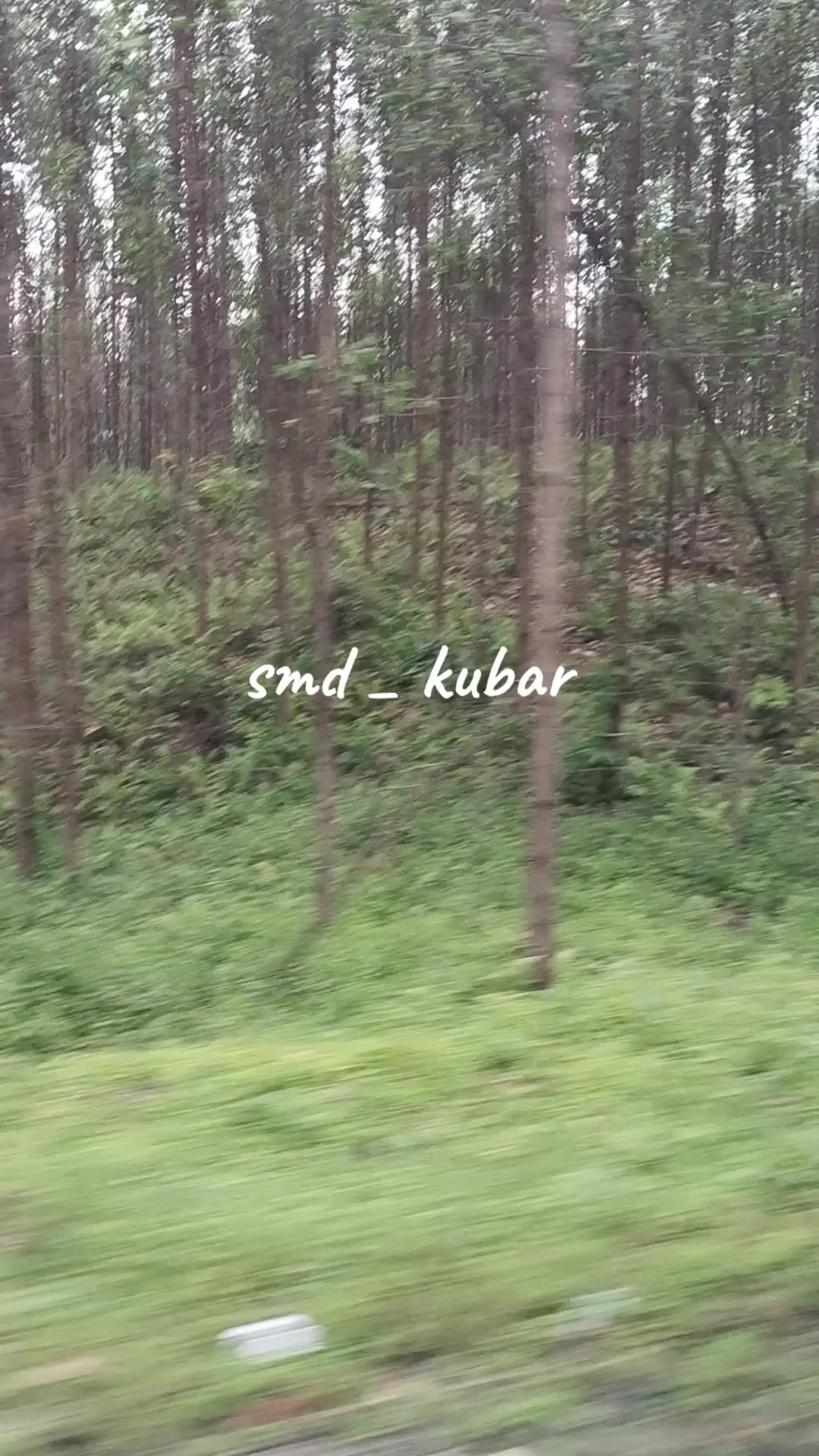 @Erni Narti