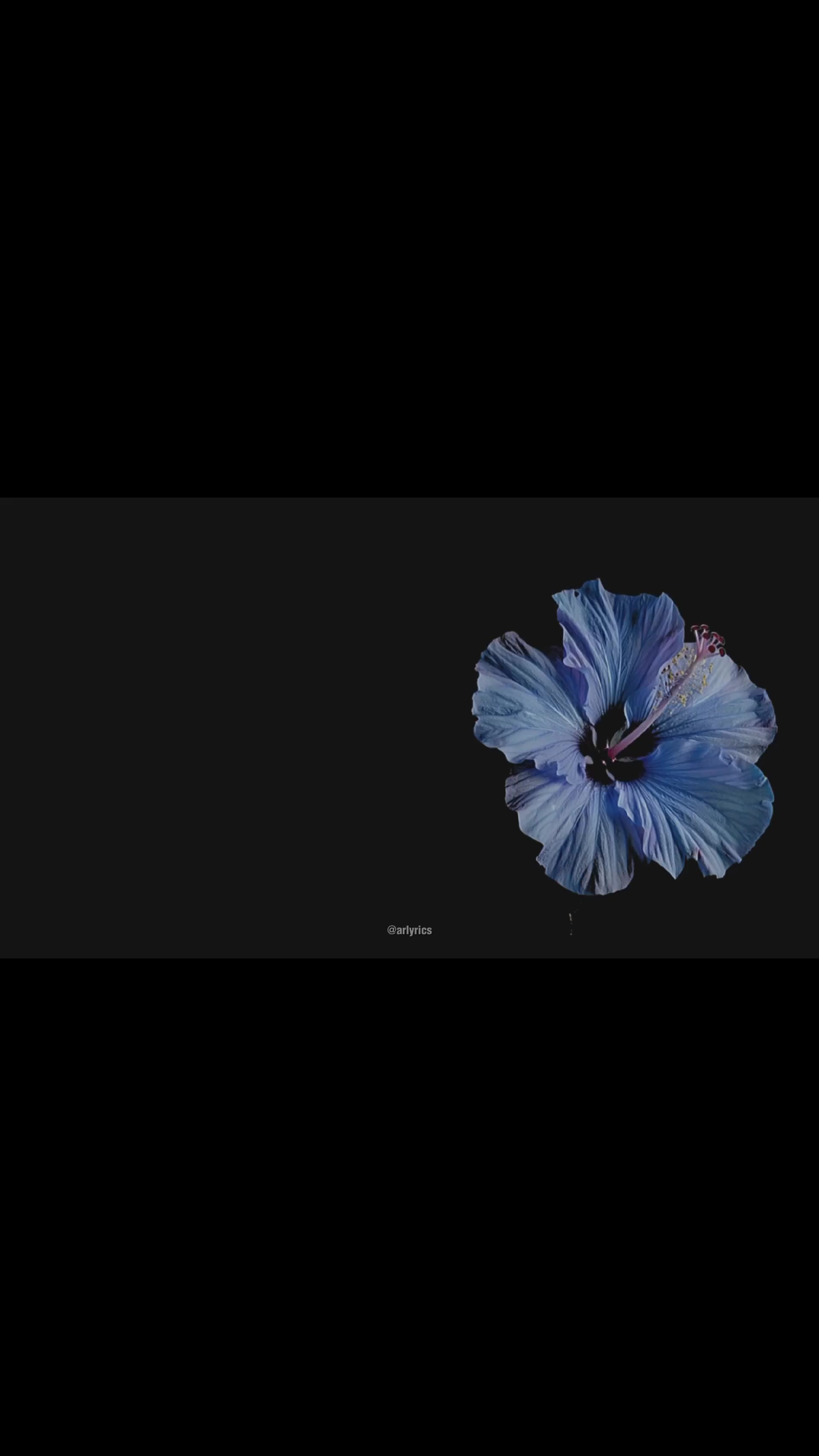 @AR_Lyrics
