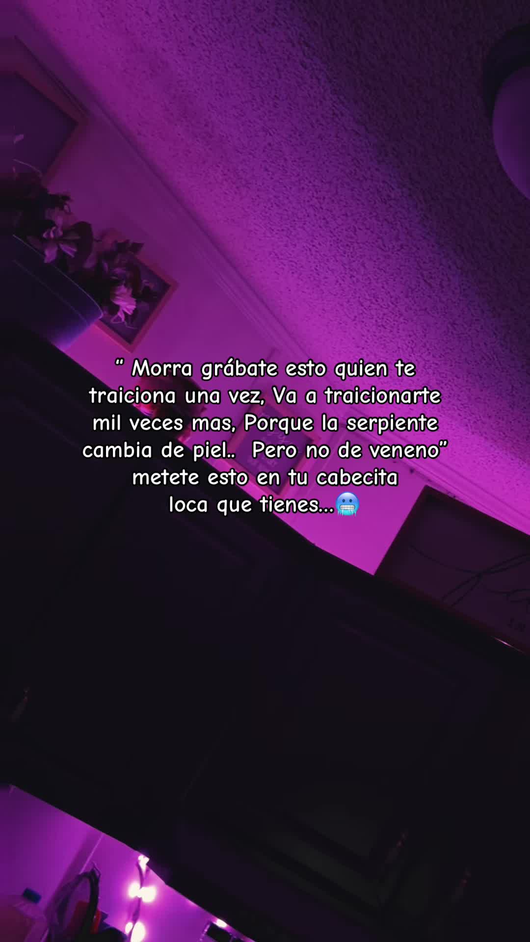 @ꨄ✿ᴋꫝᴛᴛʏ✿ꨄ