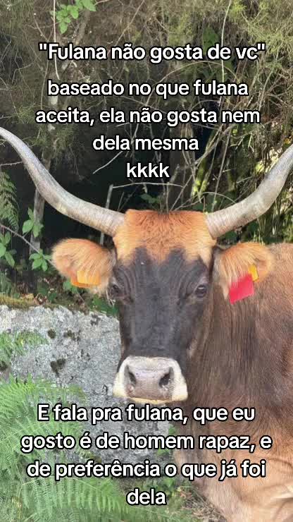 @Ana Flávia