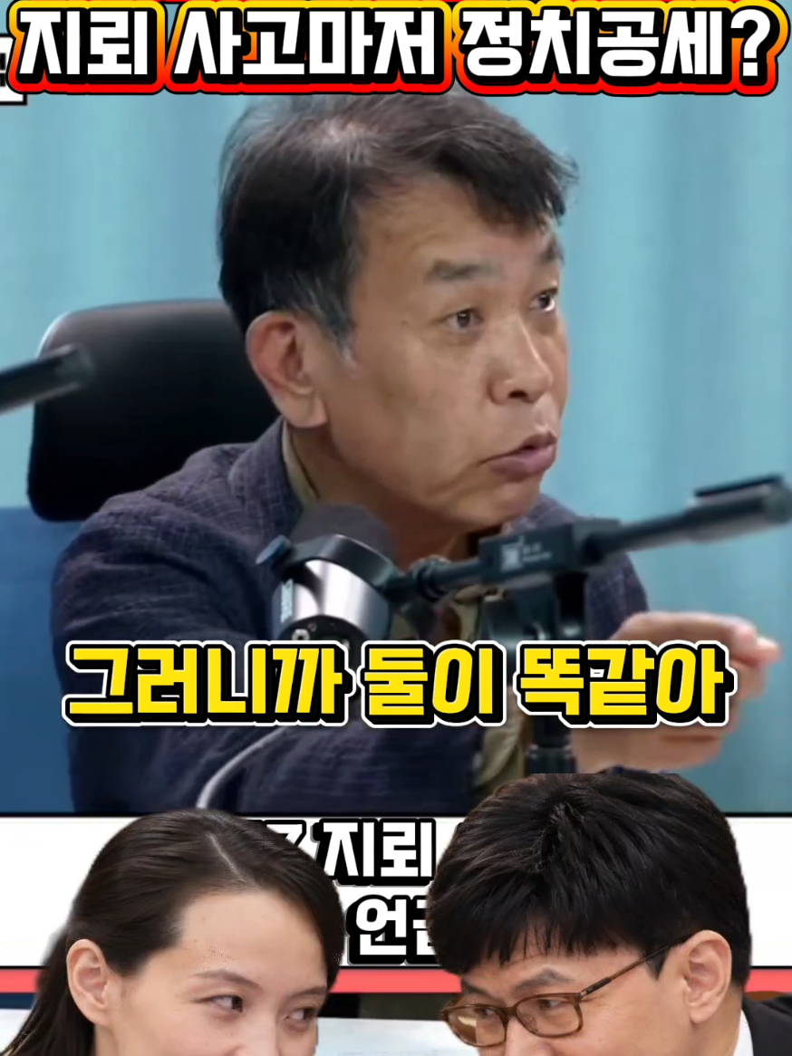 @정치냥인