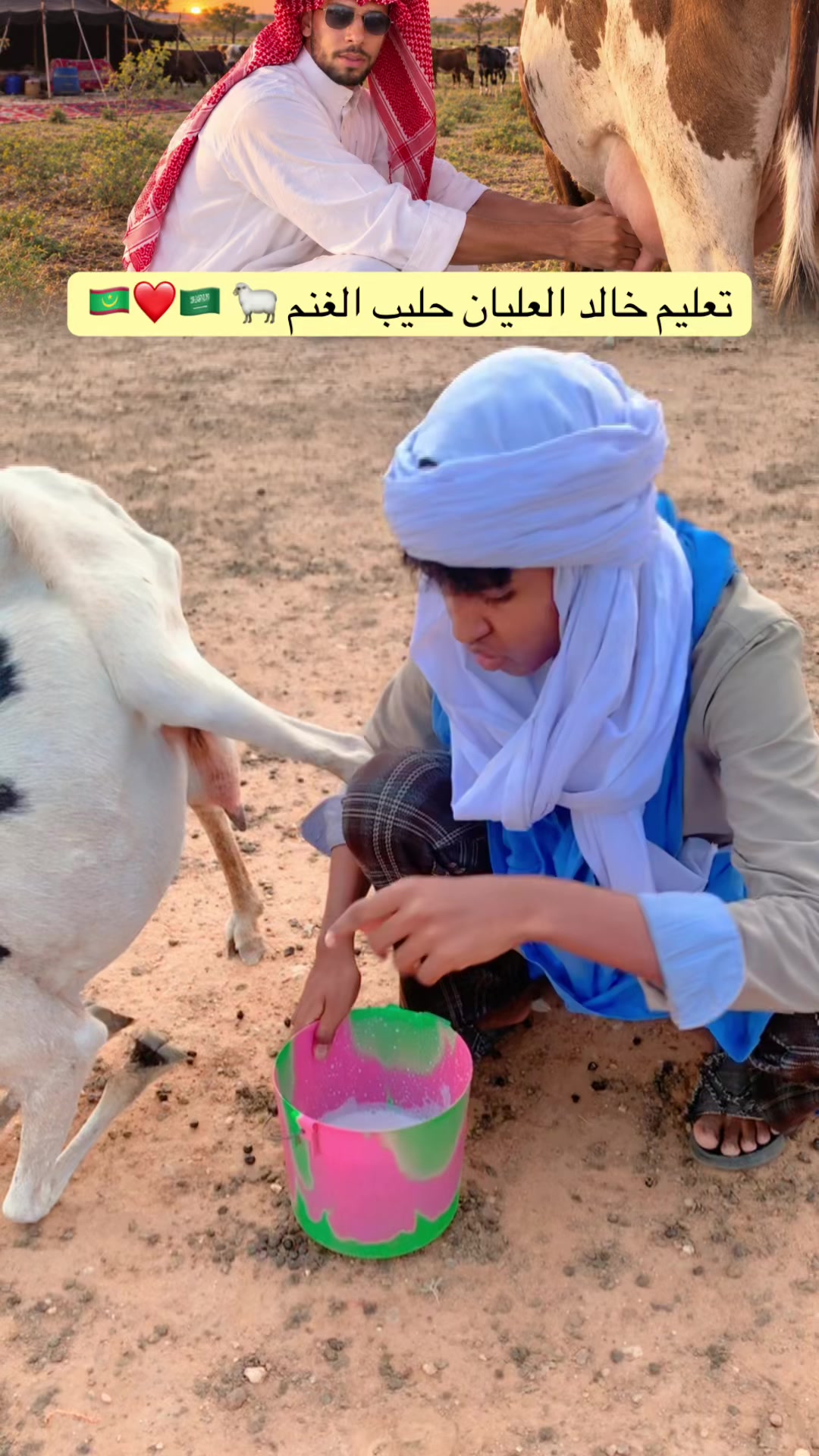 @الفتى الذهبي | 🔝🇲🇷