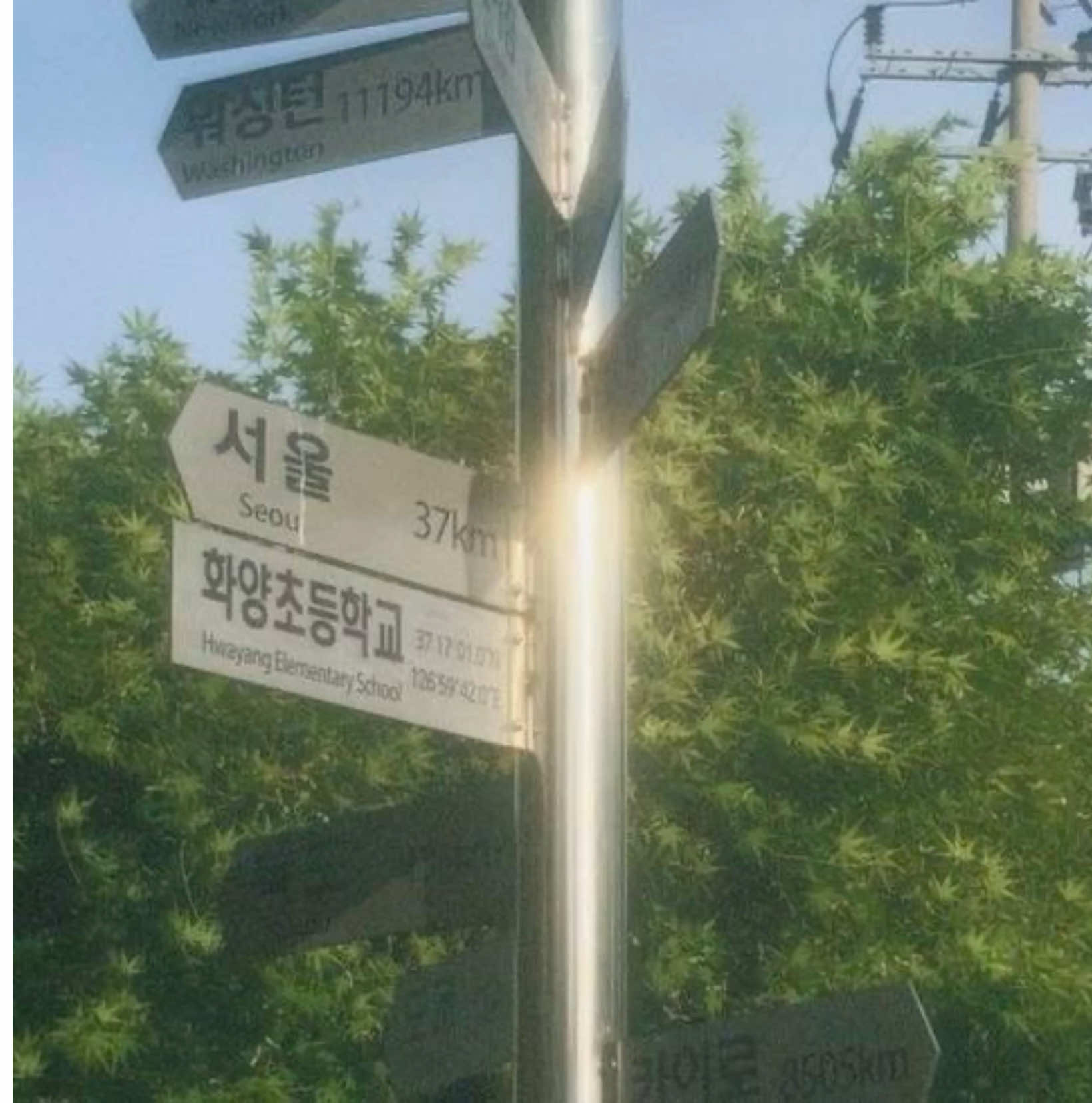 @🌱rixii