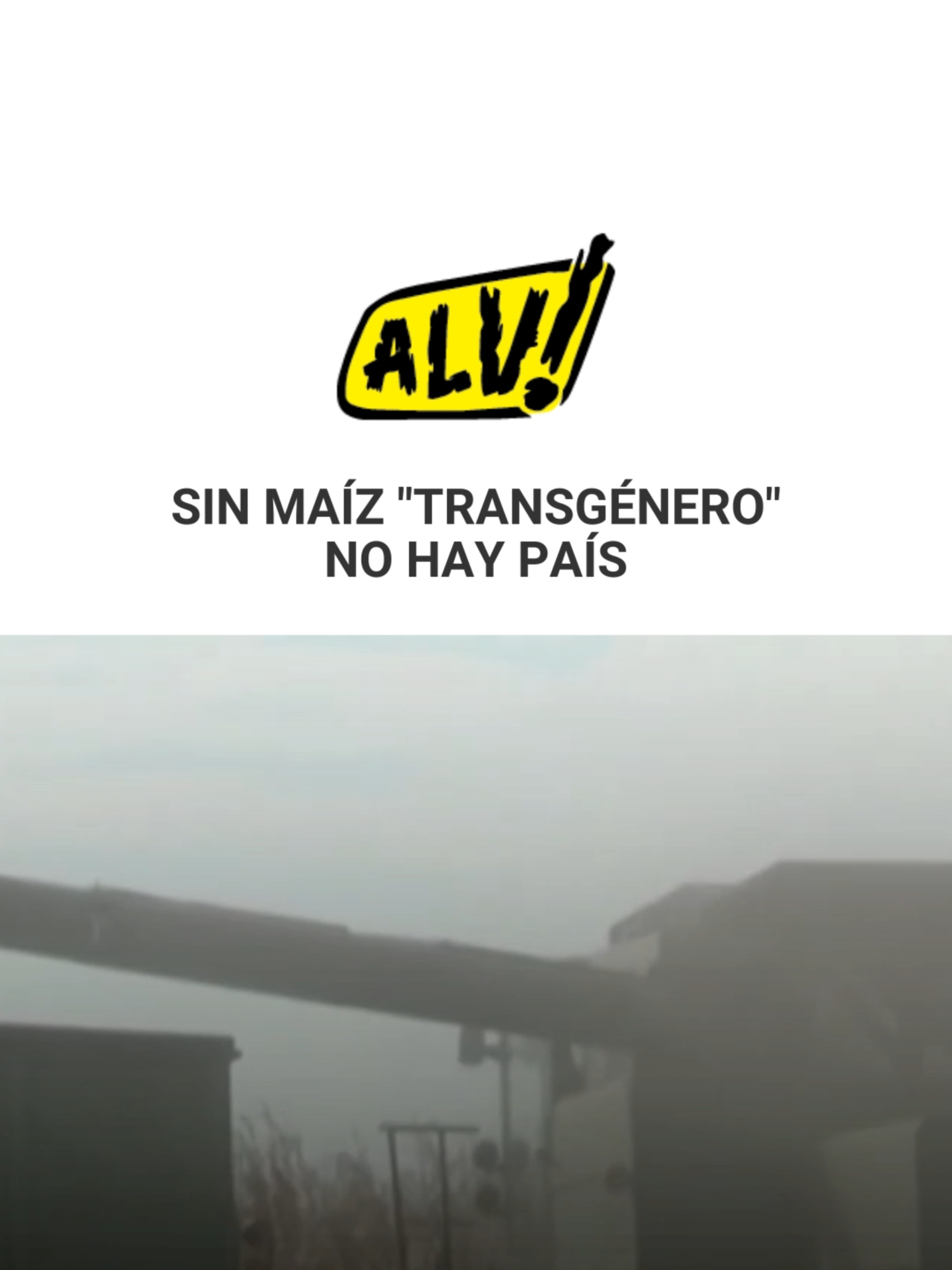 @alvnoticias