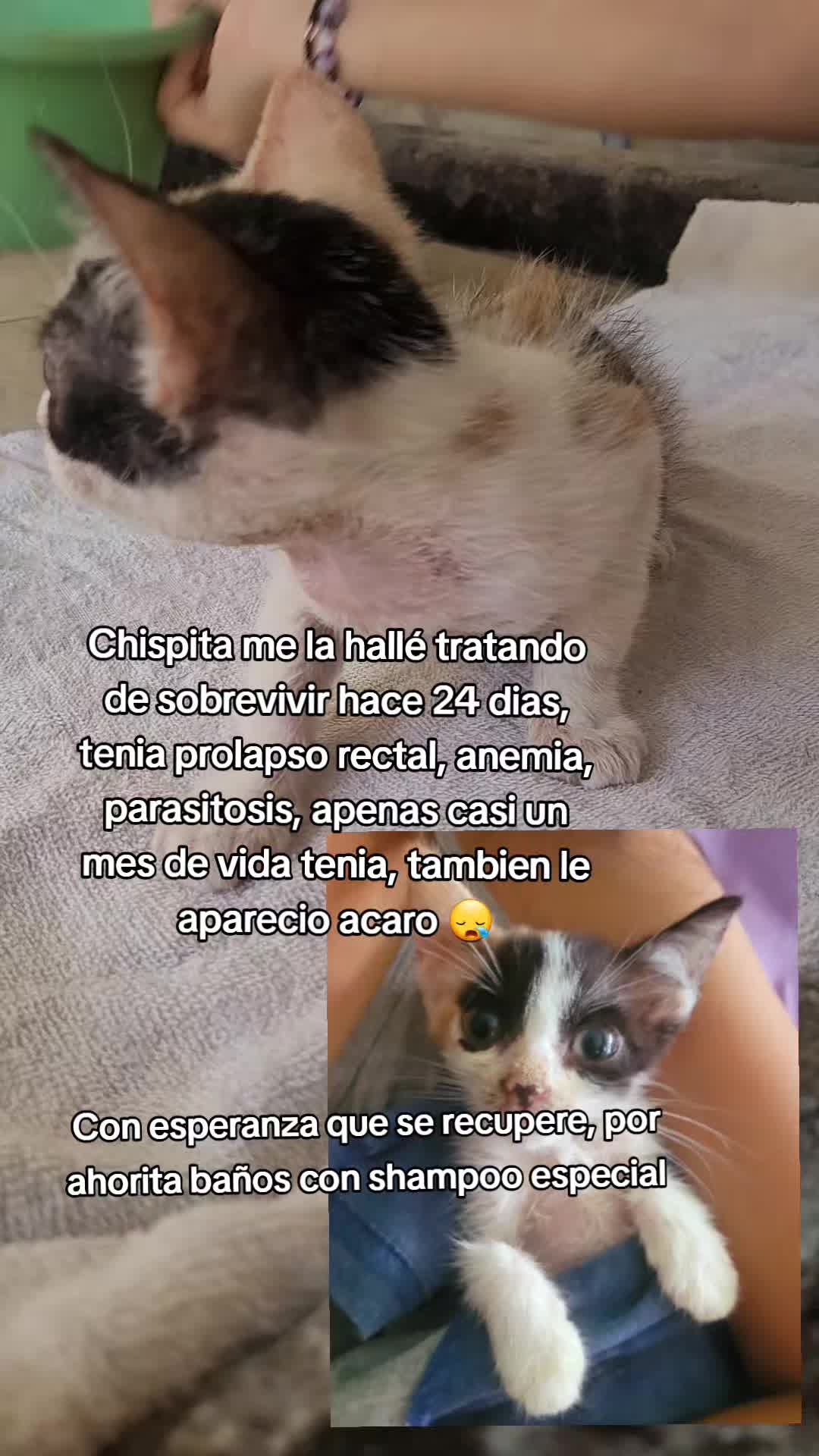 @𝕃𝕚𝕤𝕤 ℝ𝕖yes🇸🇻