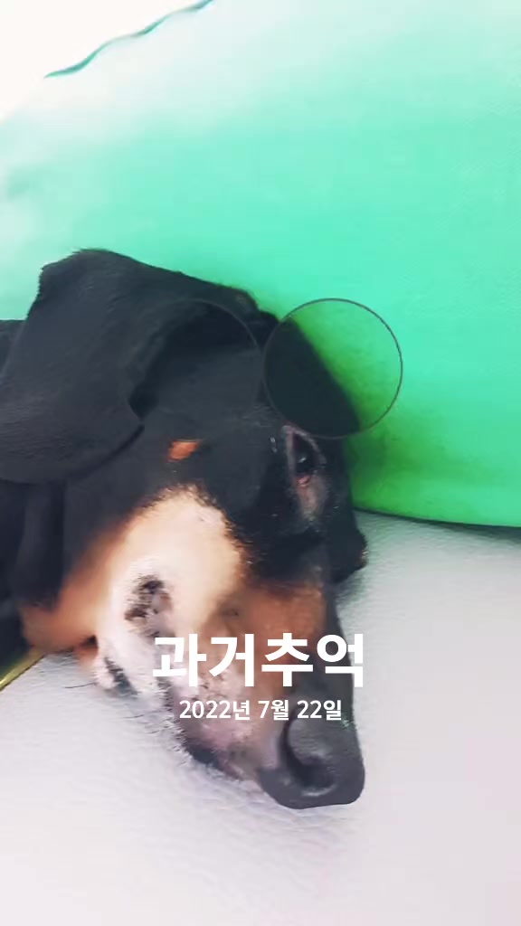 @👑마린블루J