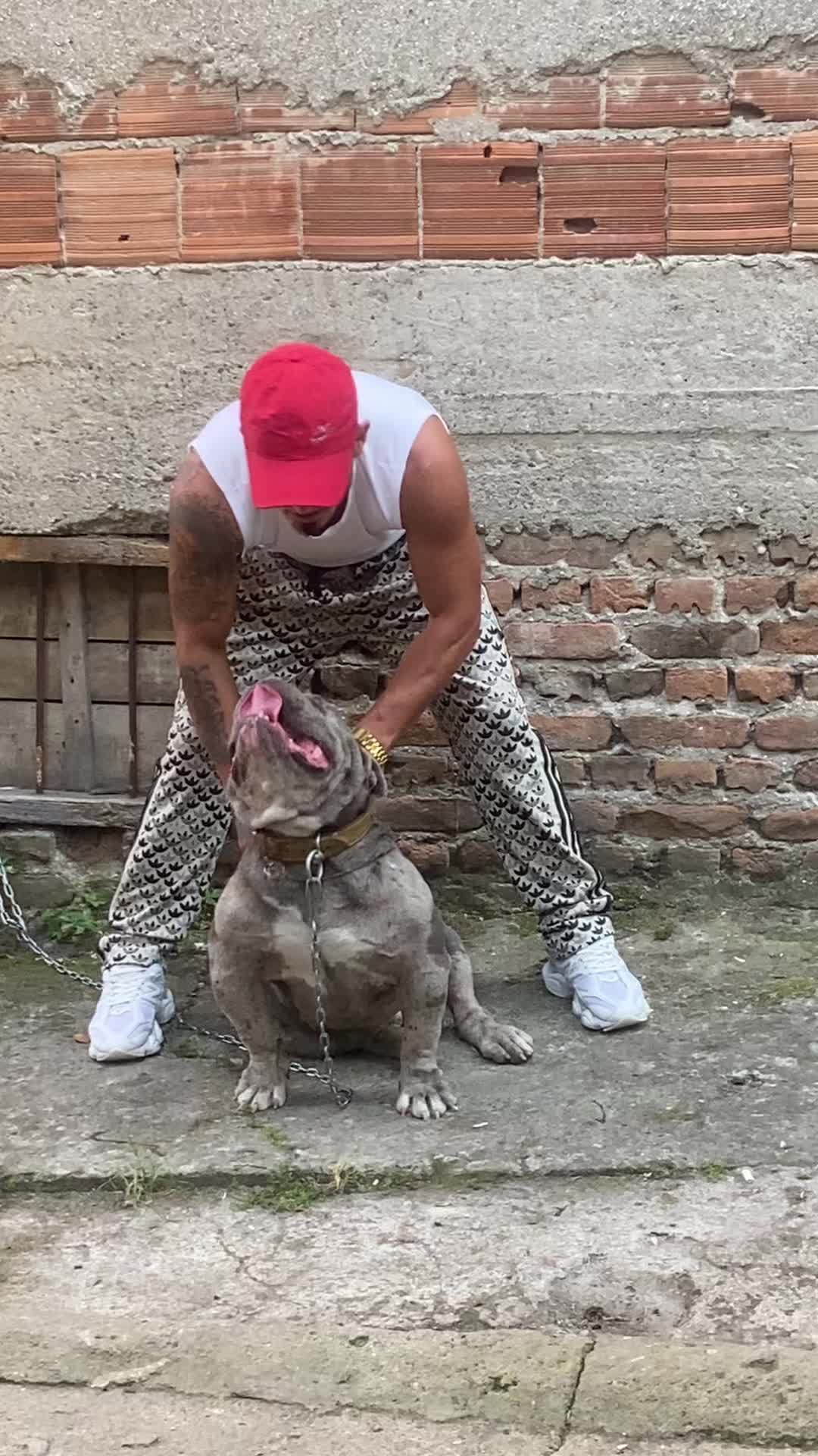 @atmacasamed