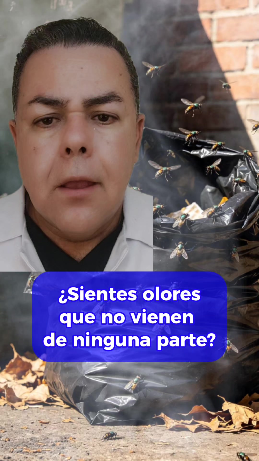 @roberto avaria
