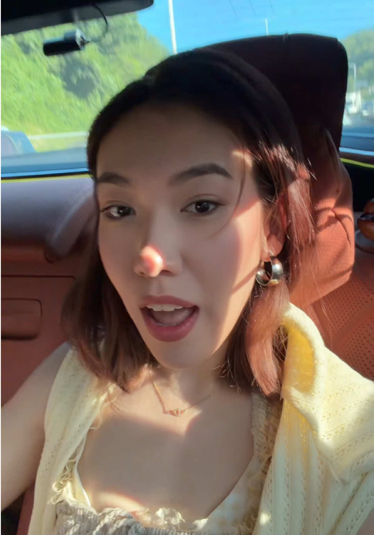 @aanelyin