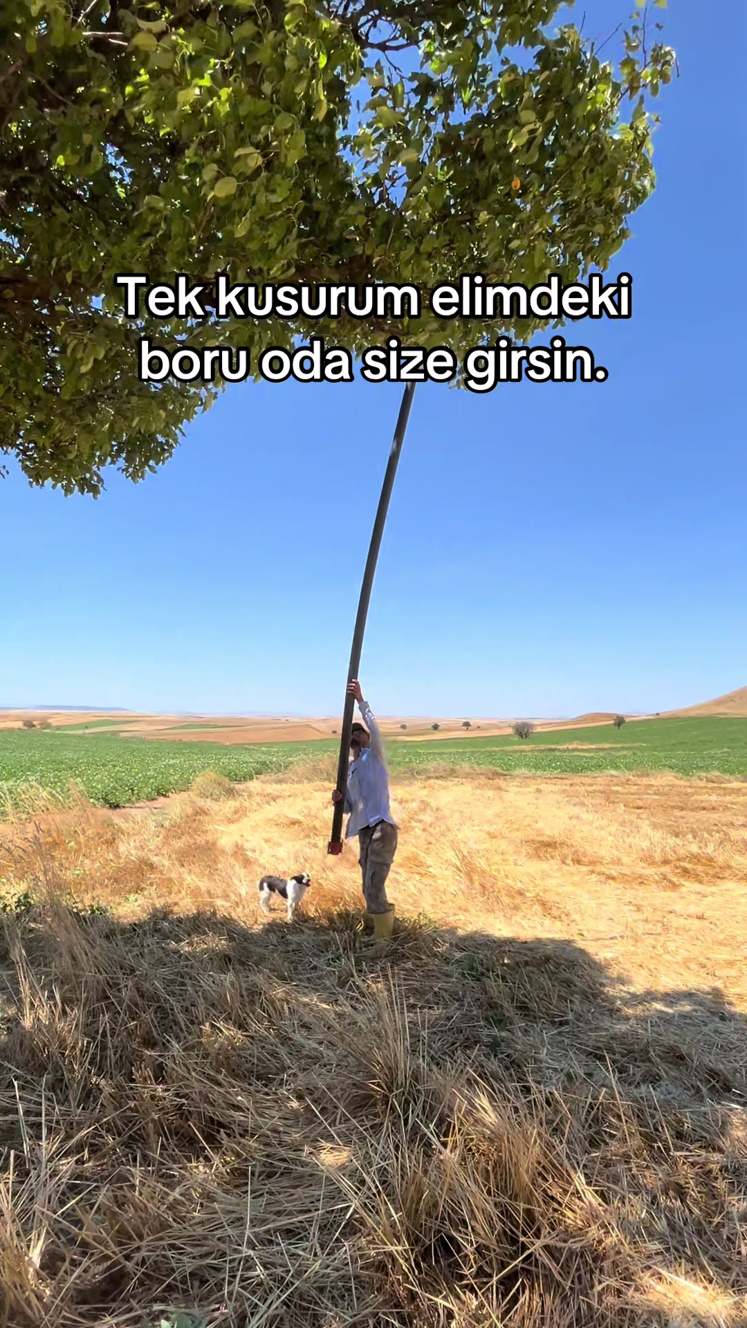 @İsmail