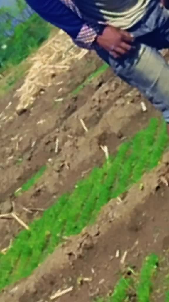 @የጉዲ ኑሮዉ ኮዲ ጠየቀኝ