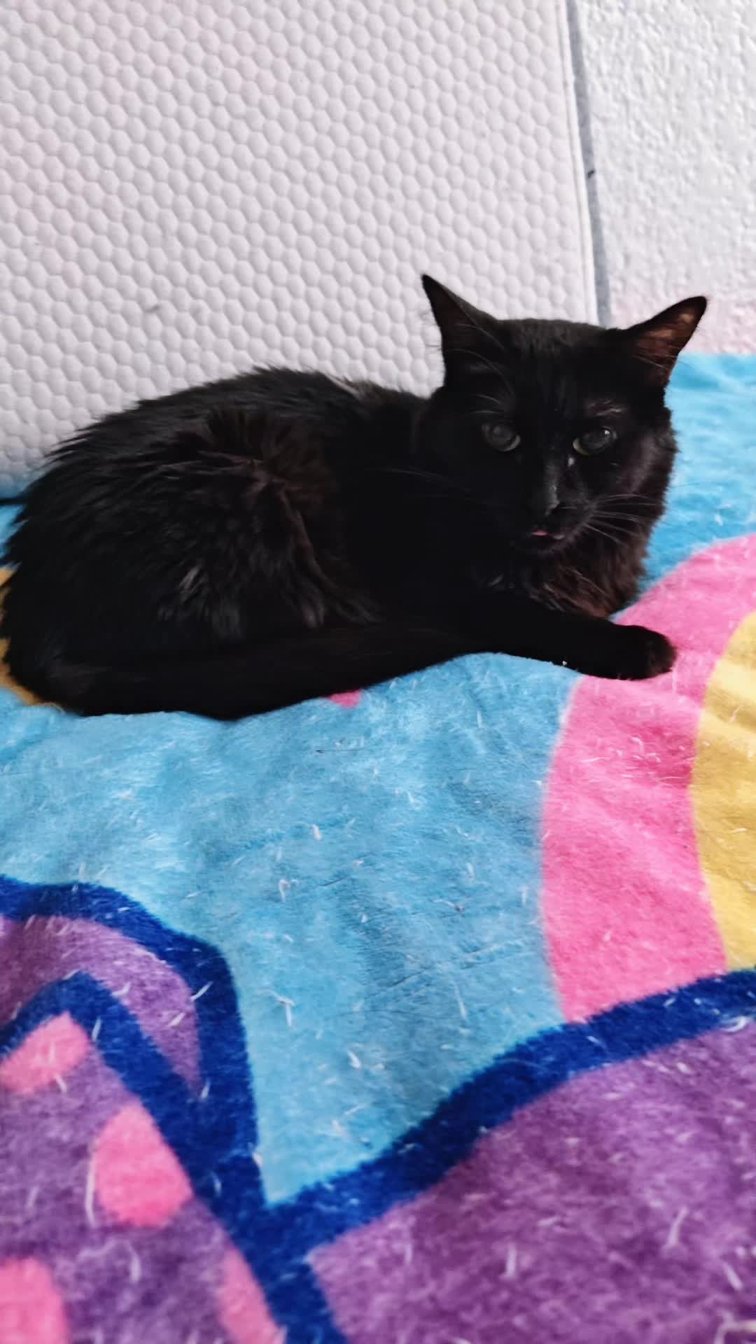 @LeztI 😻😺😽💕