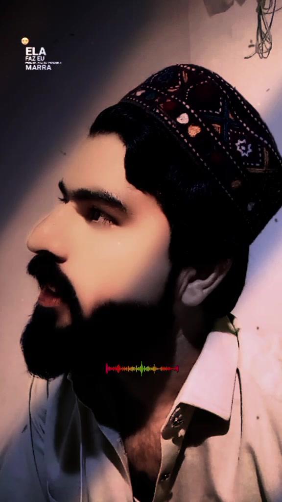 @gullzaman350