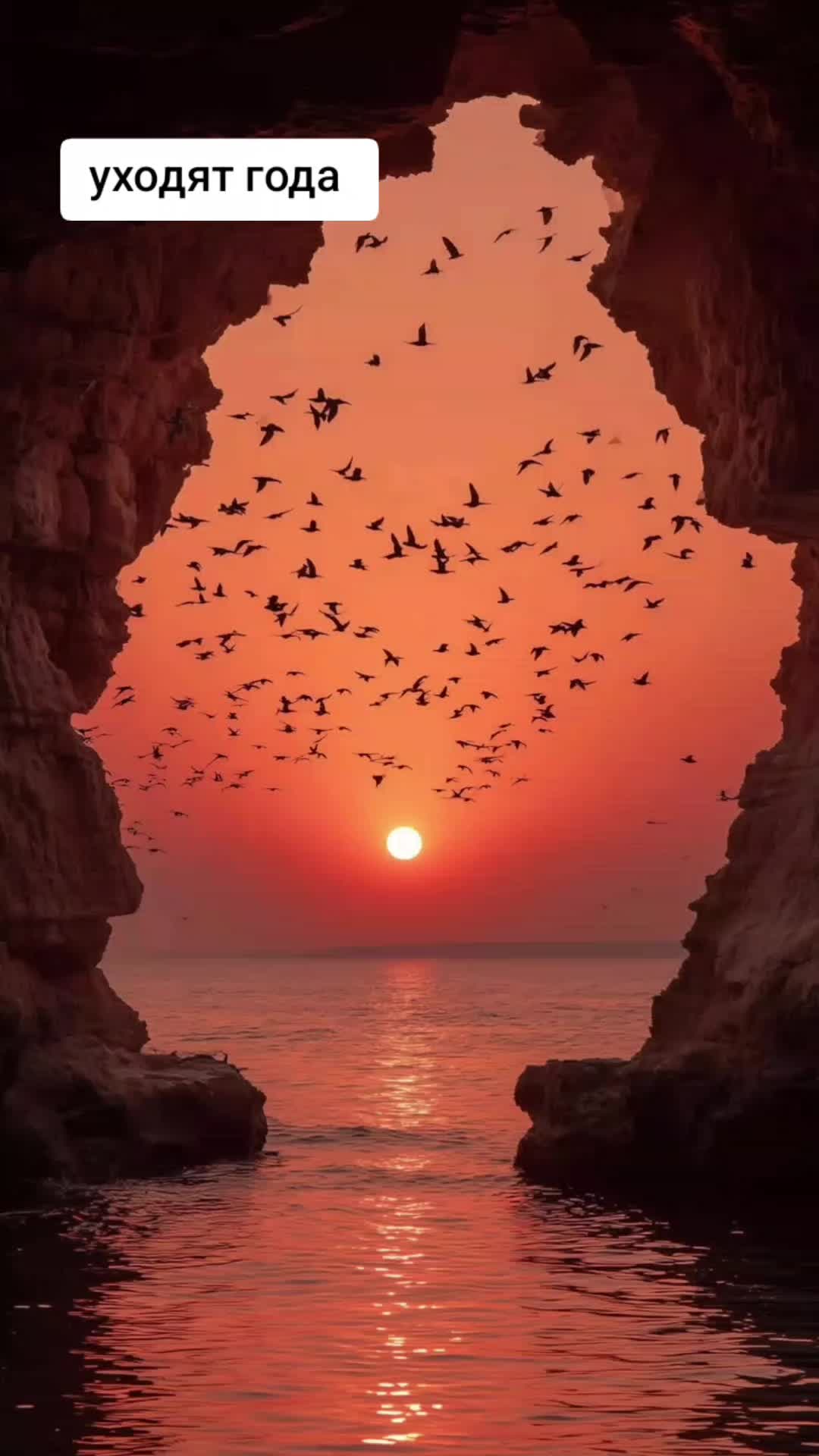 @𝐿𝒾𝓁𝒾𝓎𝒶