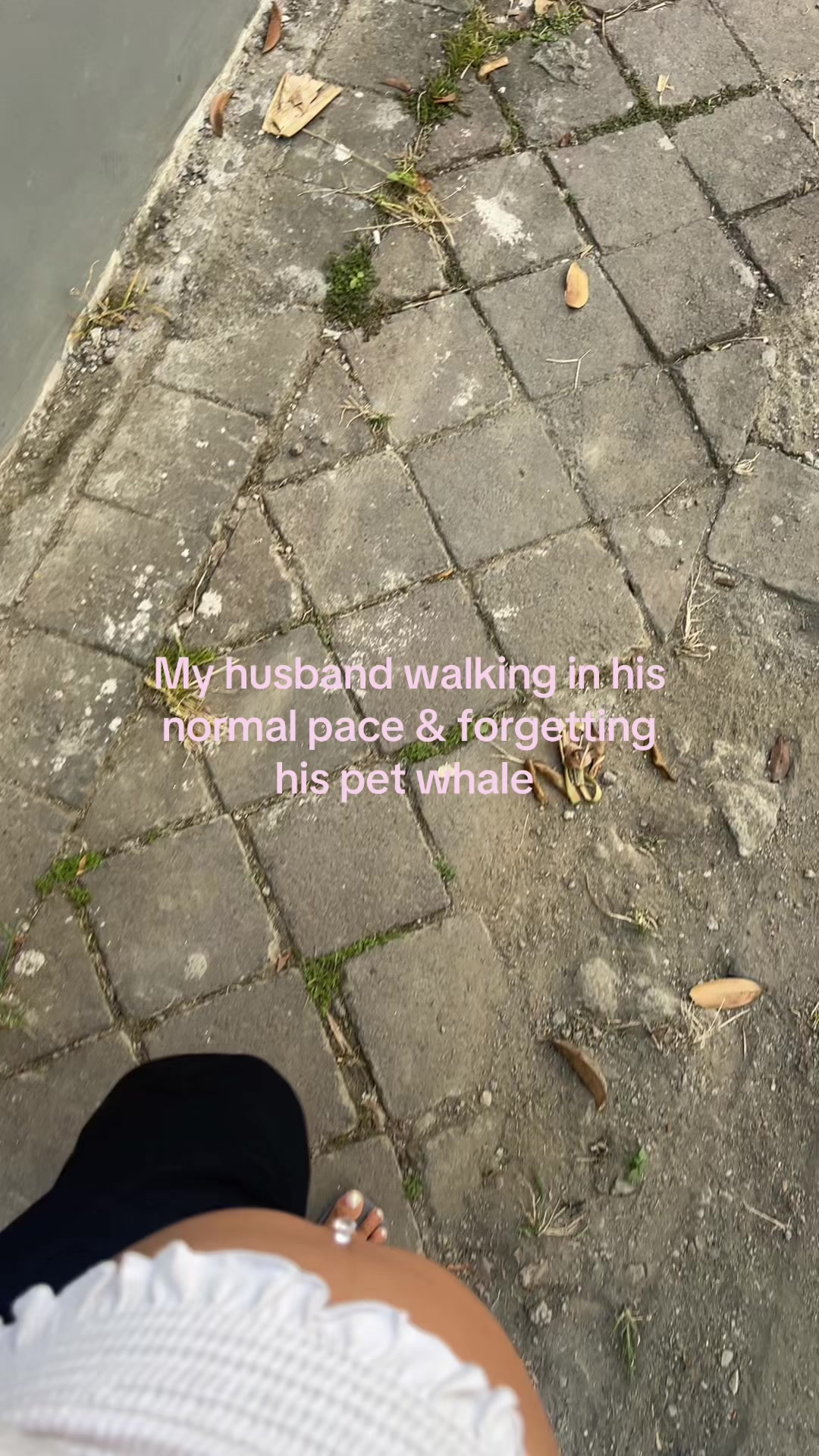 @Ariel Jansen