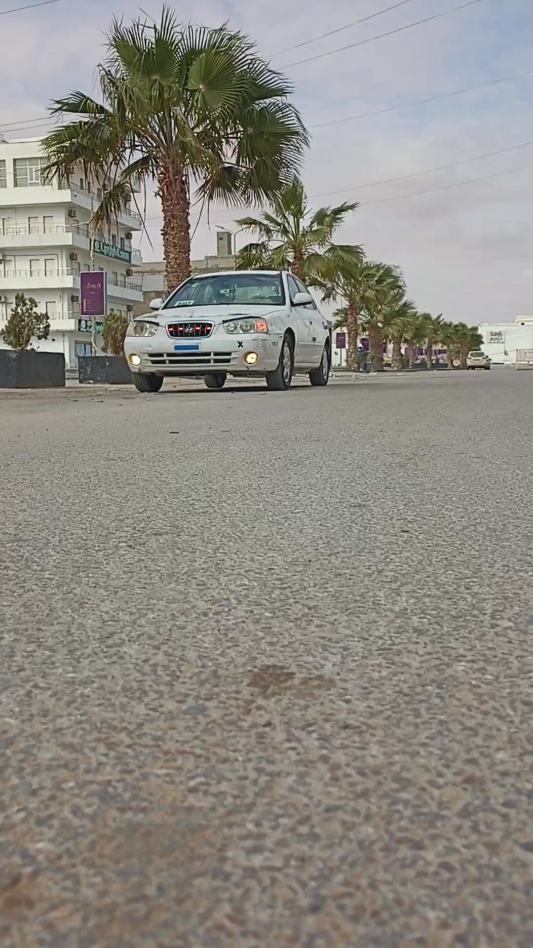@حــــوٕد بوالمهدي!✓