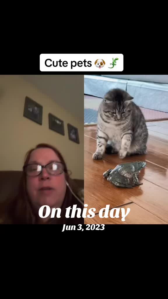 @Queenlovefrogs