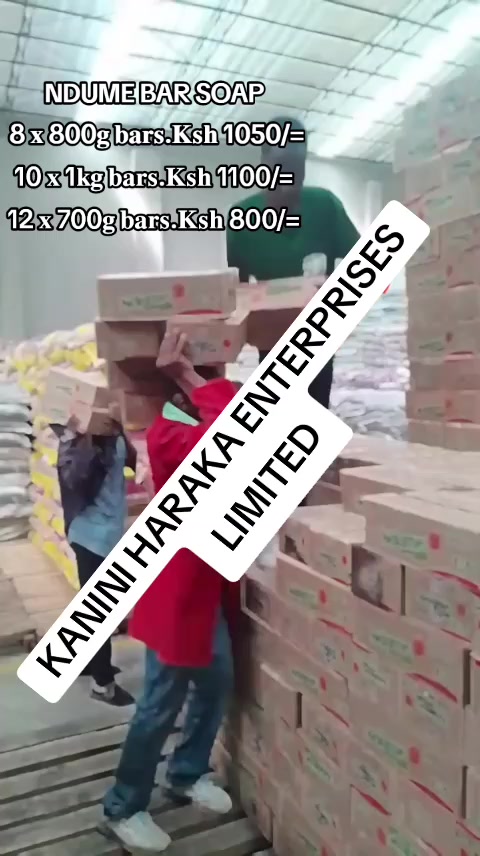 @KANINI HARAKA ENTERPRISES LTD