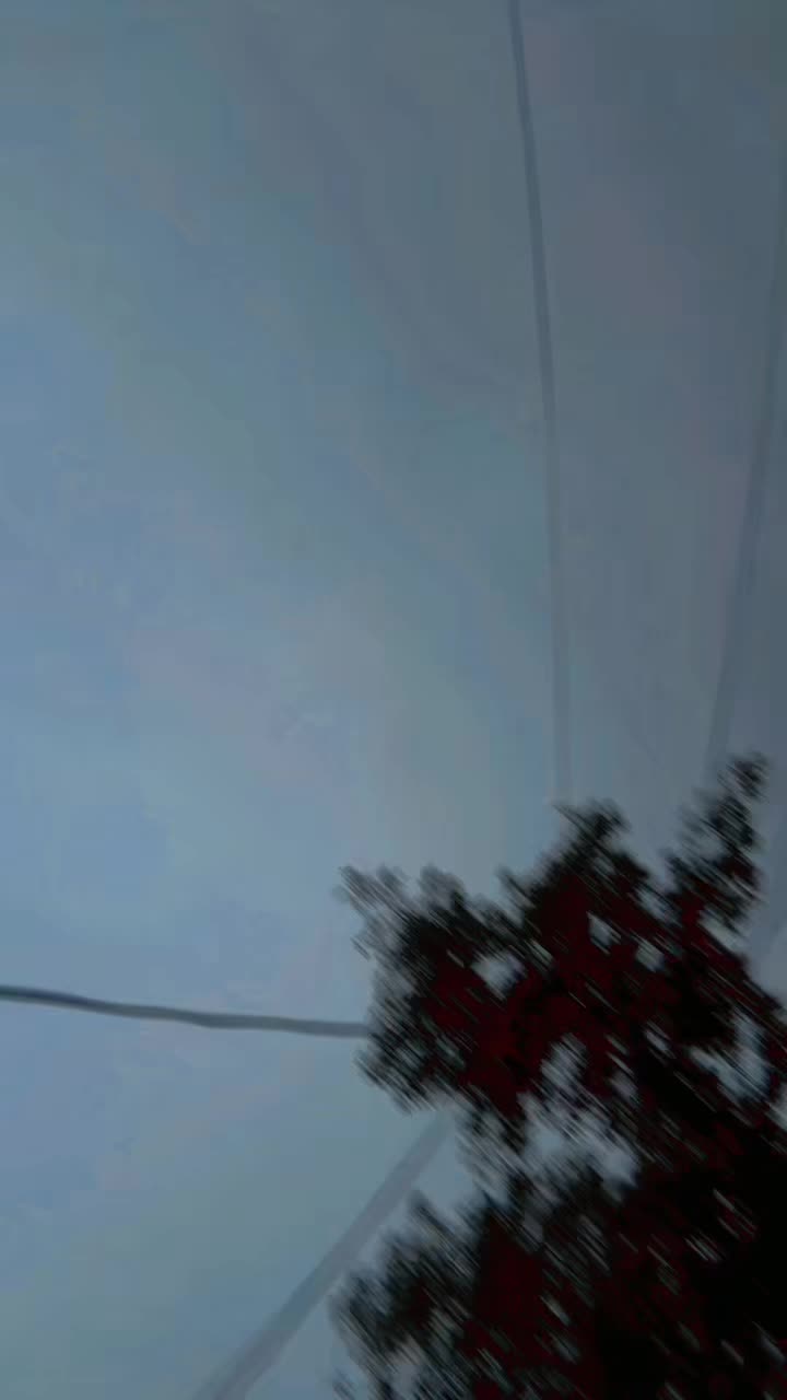 @میراعشق قلندر🚩♥️🚩