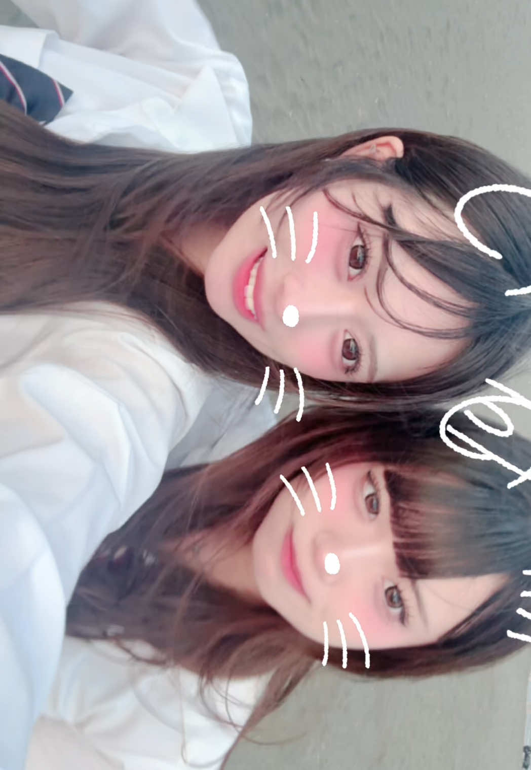 @あんにゃん