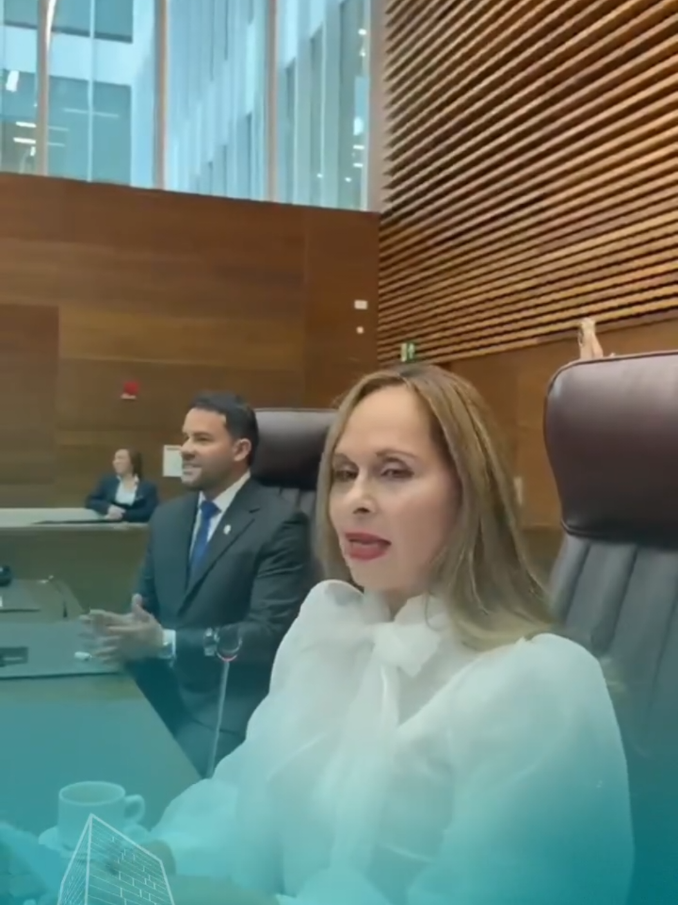 @Yara Jiménez Diputada NO OFICI
