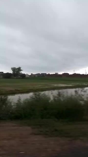 @jani Mehar